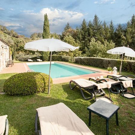 Casetta Di Butia, Mimosa Apartment Borgo a Mozzano Kültér fotó