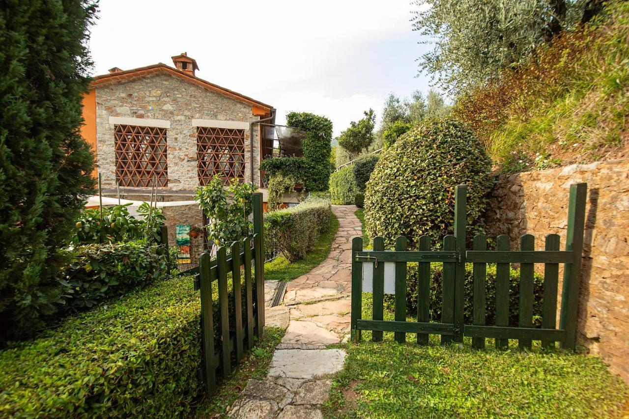 Casetta Di Butia, Mimosa Apartment Borgo a Mozzano Kültér fotó
