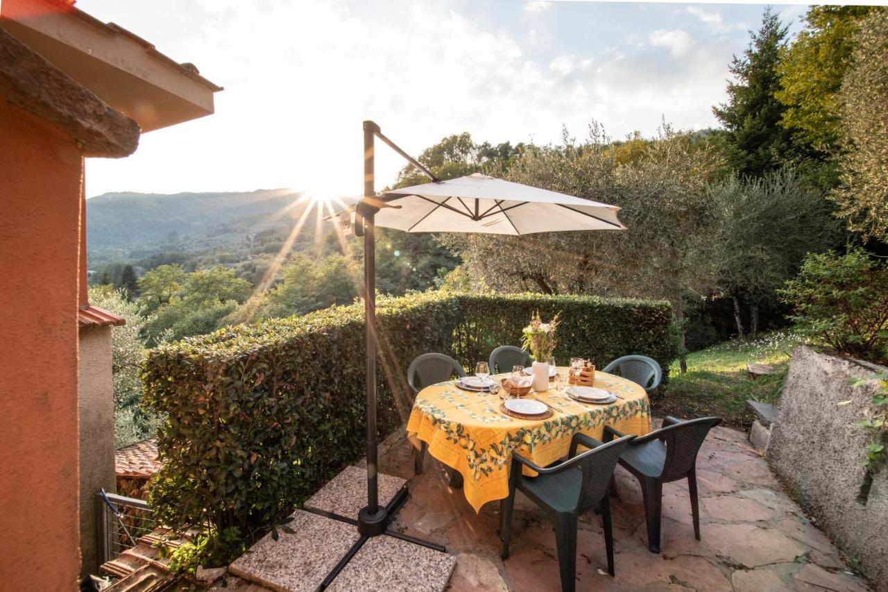 Casetta Di Butia, Mimosa Apartment Borgo a Mozzano Kültér fotó