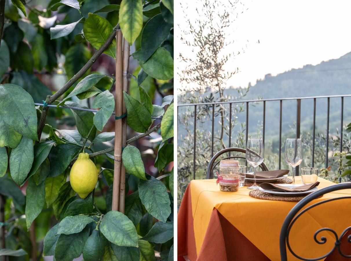 Casetta Di Butia, Mimosa Apartment Borgo a Mozzano Kültér fotó