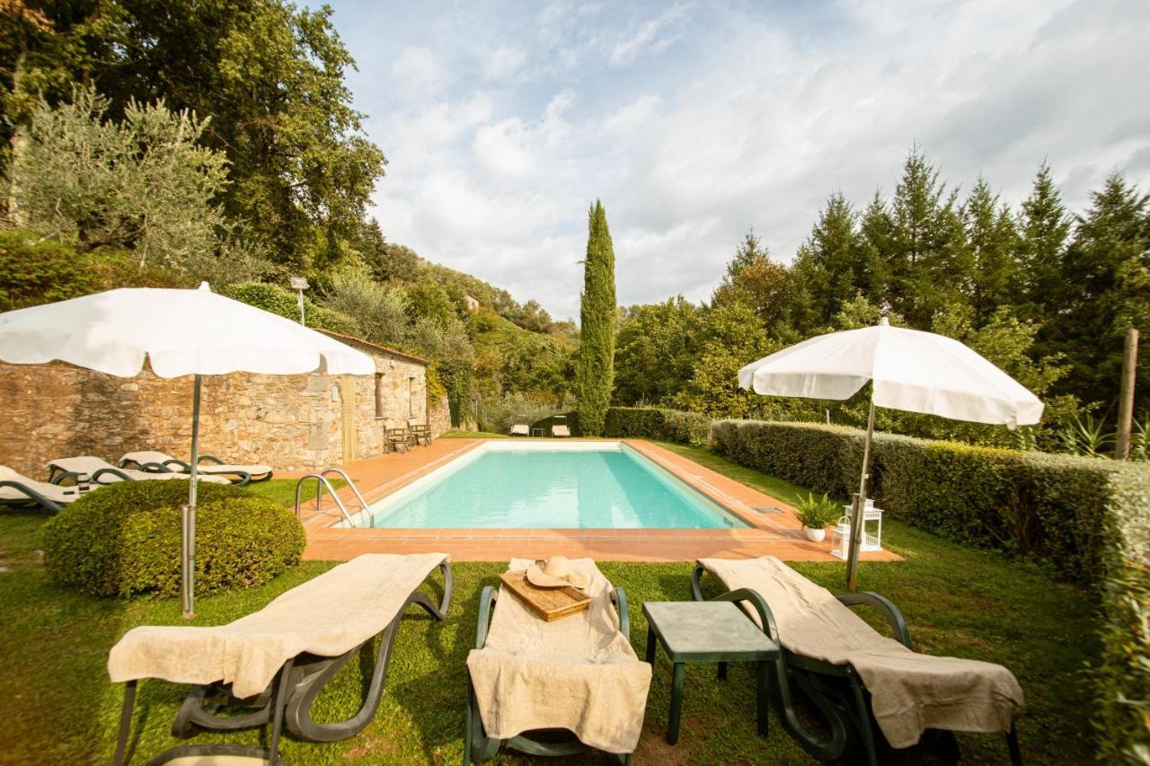 Casetta Di Butia, Mimosa Apartment Borgo a Mozzano Kültér fotó