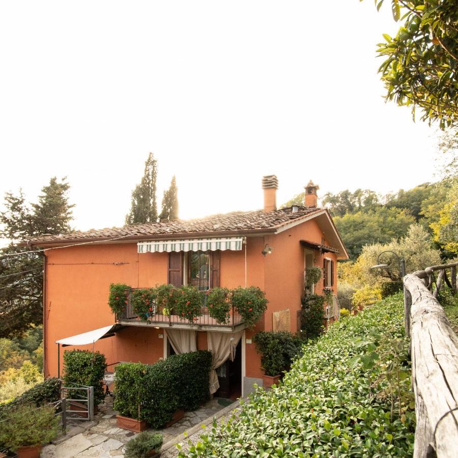 Casetta Di Butia, Mimosa Apartment Borgo a Mozzano Kültér fotó