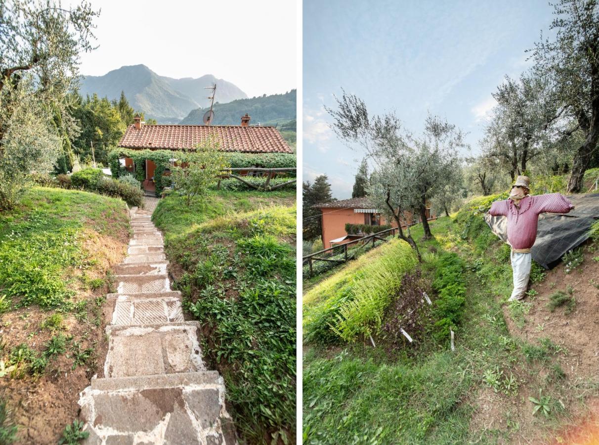 Casetta Di Butia, Mimosa Apartment Borgo a Mozzano Kültér fotó
