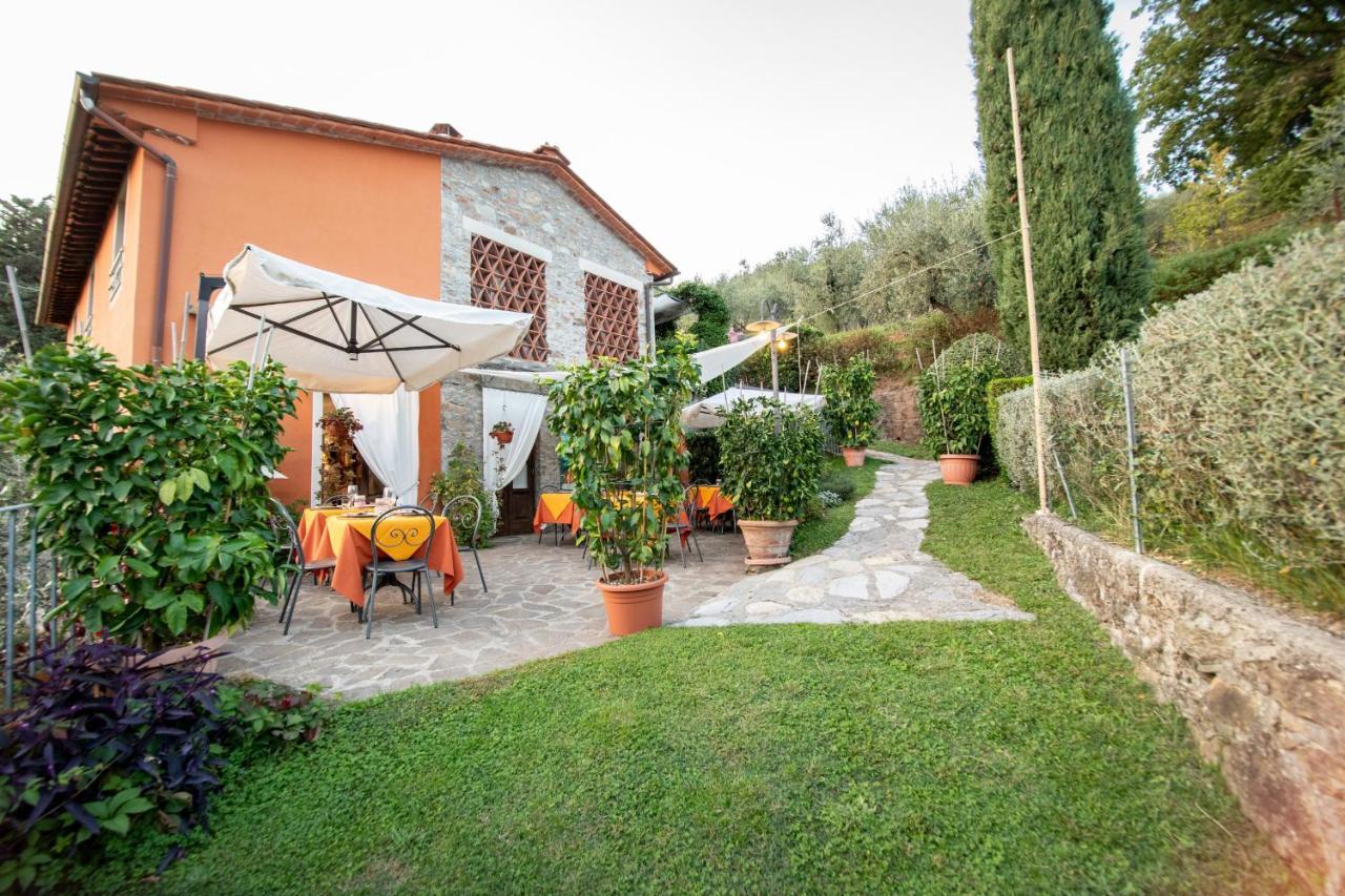 Casetta Di Butia, Mimosa Apartment Borgo a Mozzano Kültér fotó