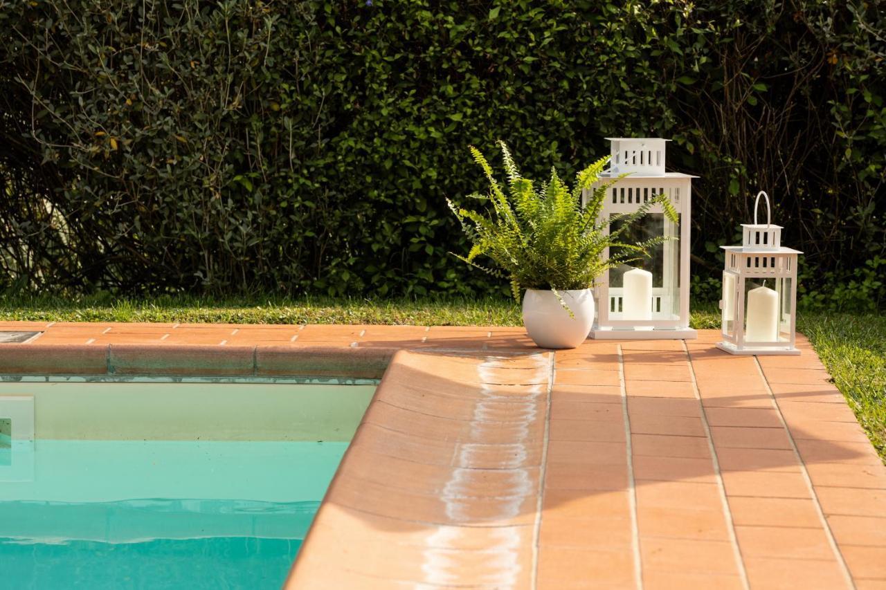 Casetta Di Butia, Mimosa Apartment Borgo a Mozzano Kültér fotó