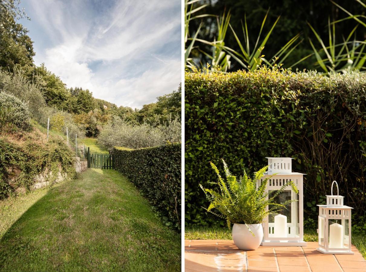 Casetta Di Butia, Mimosa Apartment Borgo a Mozzano Kültér fotó